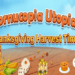 AviaGames Shows Its Grateful With a New Thanksgiving Event