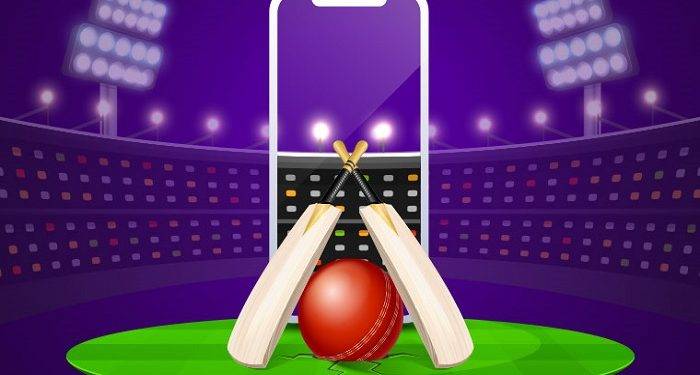 How To Understand Everything About Fantasy IPL Cricket