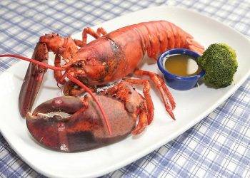 Buy the quality Maine lobster claws online from global seafood