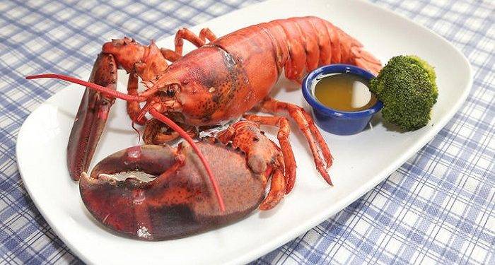 Buy the quality Maine lobster claws online from global seafood