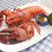 Buy the quality Maine lobster claws online from global seafood