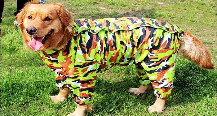Dog Clothes for Large Dogs
