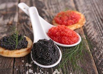Is it true that you are searching for the best caviar on the planet?