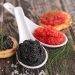 Is it true that you are searching for the best caviar on the planet?