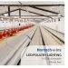 Are poultry lights the future of broilers?