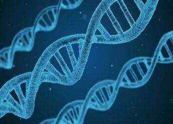 What is DNA Full Form?