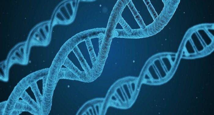 What is DNA Full Form?