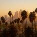 Immigrating to Los Angeles: What to Know