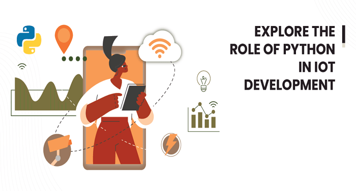 Explore The Role of Python In IoT Development