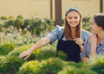 Choosing the Right Turf for Your Garden