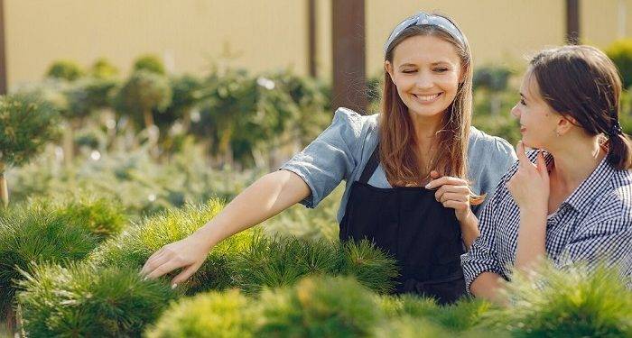 Choosing the Right Turf for Your Garden