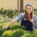 Choosing the Right Turf for Your Garden