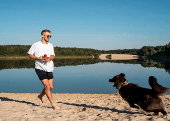 Inside the Mind of a Professional Austin Dog Trainer: Insights and Expertise
