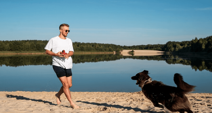 Inside the Mind of a Professional Austin Dog Trainer: Insights and Expertise