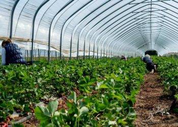 7 Must-Haves to Keep Your Farm Operations Running Without a Hitch