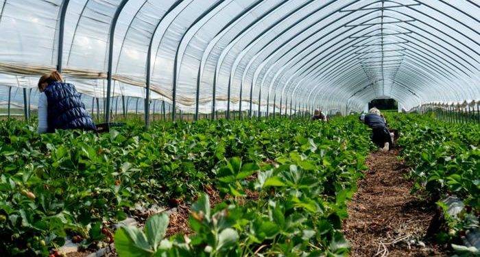 7 Must-Haves to Keep Your Farm Operations Running Without a Hitch