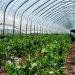 7 Must-Haves to Keep Your Farm Operations Running Without a Hitch